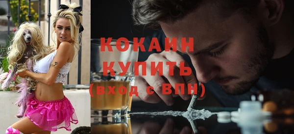 PSILOCYBIN Каменногорск