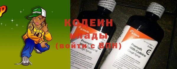 спайс Каменка