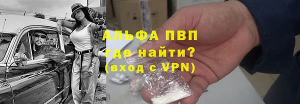 PSILOCYBIN Каменногорск