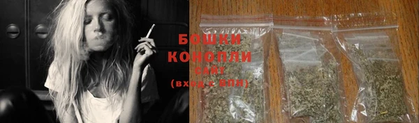 PSILOCYBIN Каменногорск