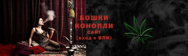 спайс Каменка