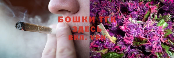 спайс Каменка