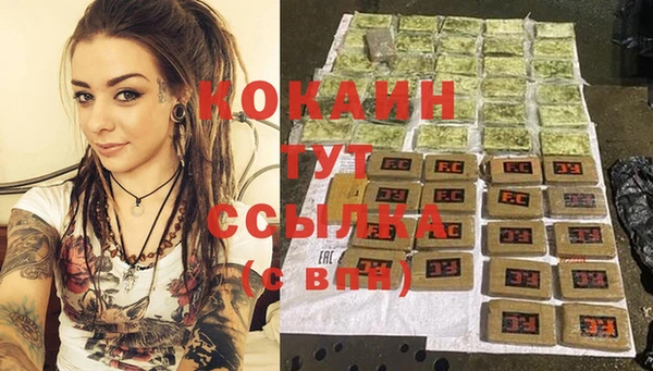 PSILOCYBIN Каменногорск