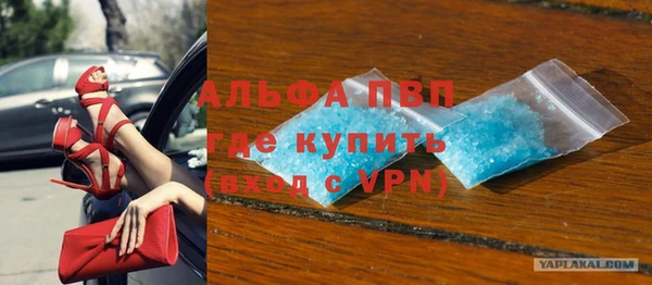 PSILOCYBIN Каменногорск