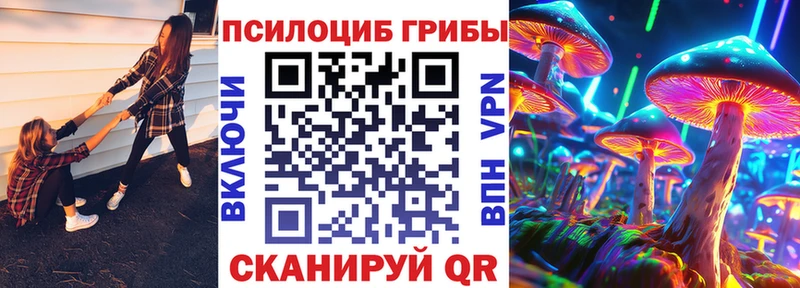 Купить  Минусинск  Псилоцибиновые грибы MAGIC MUSHROOMS 